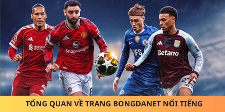 Bongdanet sở hữu hàng triệu lượt tham gia mỗi ngày