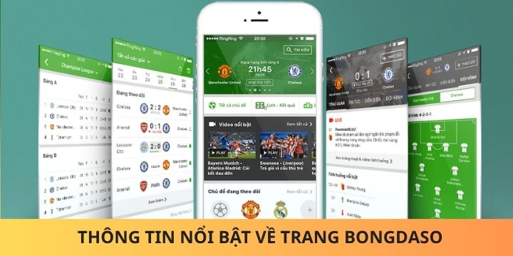 Theo dõi Bongdaso với các thông tin chính xác và chi tiết